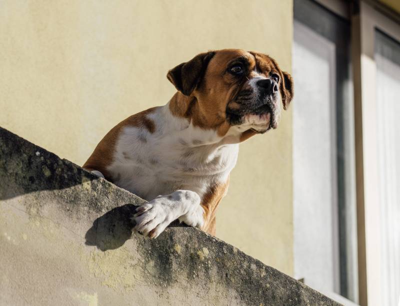 «Να τηρούν τη νοµοθεσία»