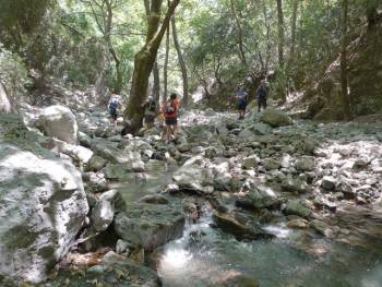 Πεζοπορία στο φαράγγι του Νέδοντα