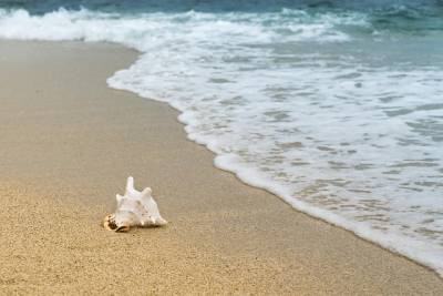 Τι λένε τα ζώδια σήμερα (21/8)