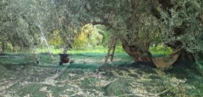 Αγροτικός Σύλλογος Φιλιατρών για έλλειψη εργατικού δυναμικού