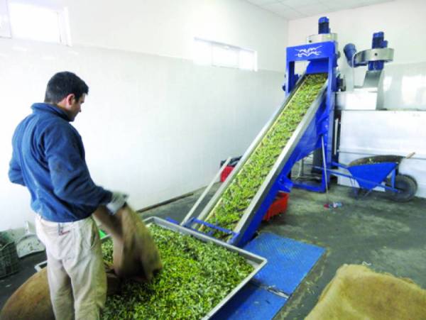 Αναζητείται στρατηγική για τον αγροτικό τομέα