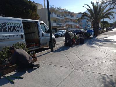 Νέα άνθη στις ζαρντινιέρες