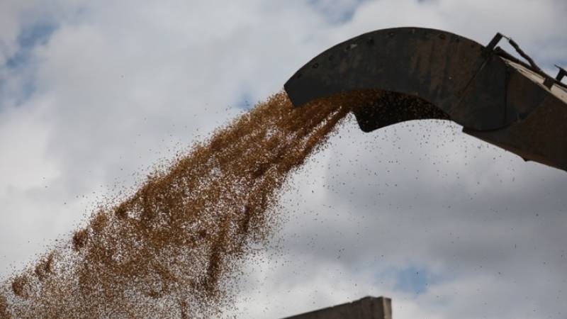 Ουκρανία: Εξήχθησαν 4 εκατ. τόνοι σιτηρών μέσω Δούναβη