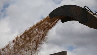 Ουκρανία: Εξήχθησαν 4 εκατ. τόνοι σιτηρών μέσω Δούναβη