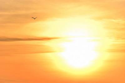 Καμίνι χθες η Μεσσηνία: 40,7 ℃ στα Αρφαρά και 39,1 ℃ στην Κυπαρισσία