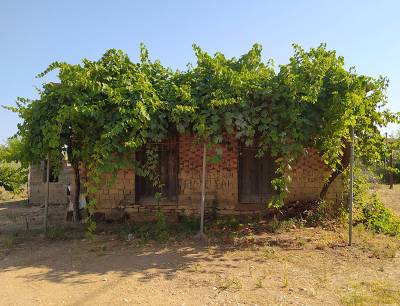 "Ενα καλοκαίρι" της Κωνσταντίνας Τασσοπούλου