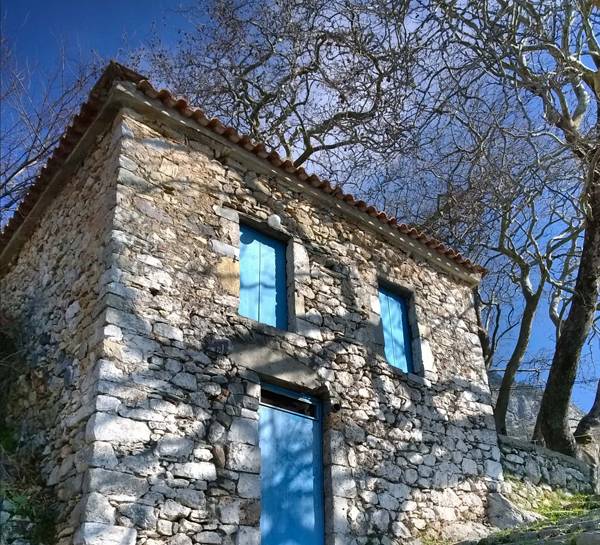 Ο Ορειβατικός καθαρίζει παλιό μονοπάτι στη Βέργα