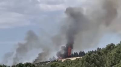 Θεσσαλονίκη: Φωτιά στην περιοχή της Ευκαρπίας