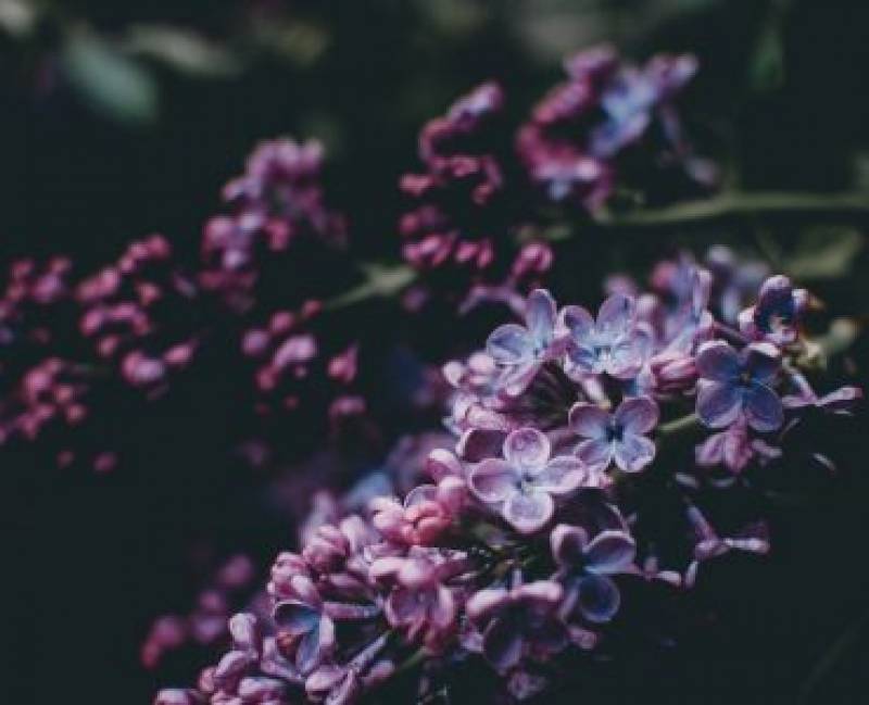 "Μια θλίψη Απρίλης" της Ελένης Κοφτερού