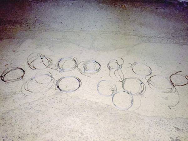 Σύλληψη λαθροκυνηγού αγριογούρουνου