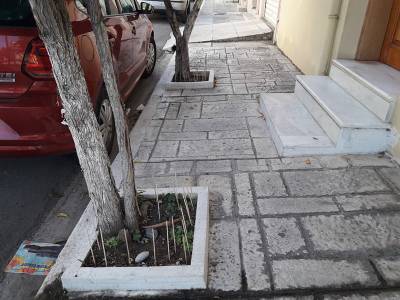 Ακαθαρσίες ζώων