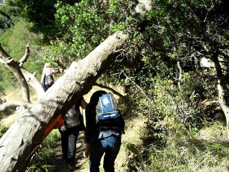 Γνωρίζοντας τις ορεινές πεζοπορικές εμπειρίες του Κάτω Ολύμπου