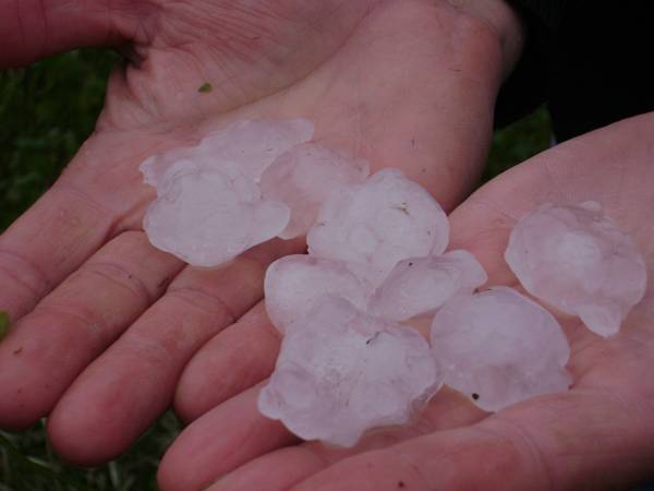 Το πόρισμα του ΕΛΓΑ για ζημιές σε Λέικα και Ελαιοχώρι