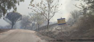 Μεσσηνία: Εως 9 Νοεμβρίου αιτήσεις για επανέλεγχο ζημιών από τις φωτιές στο Κρυονέρι