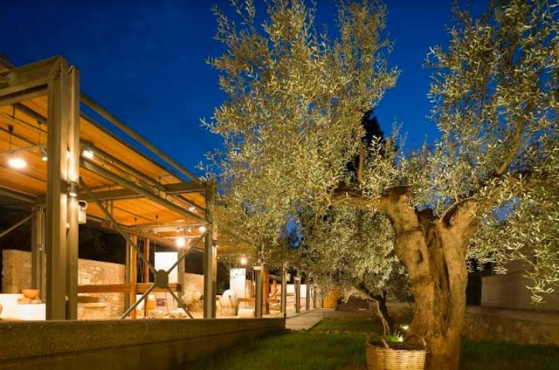 Σπάρτη: Προβολές ιταλικών ταινιών στο Μουσείο Ελιάς και Ελληνικού Λαδιού