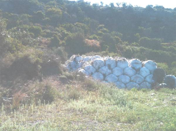 Ερώτηση Αλούπη για τη διαχείριση των σκουπιδιών