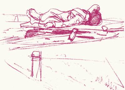 Χεσούς Καρράσκο: Αγρια Ερημιά