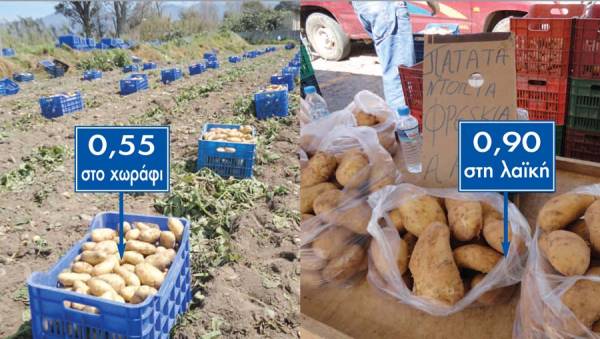 Βγήκαν οι πατάτες: 0,55 στο χωράφι 0,90 στη λαϊκή