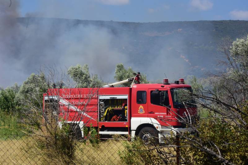 Μεσσηνία: Πυρκαγιά στη Μεγάλη Μαντίνεια (βίντεο)