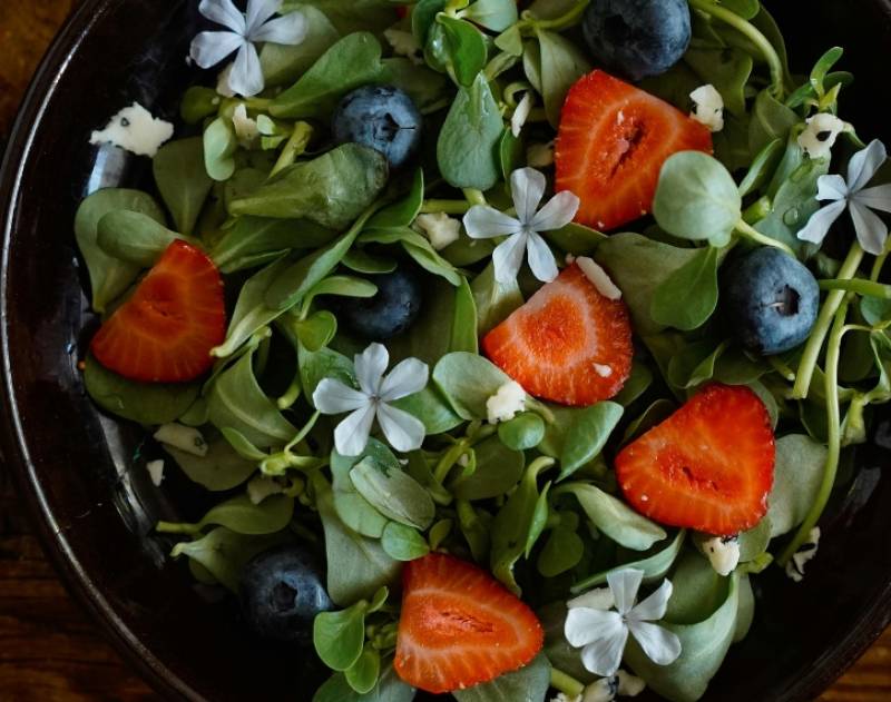 Καλαμάτα: Εκδήλωση για την αξία των φυτικών τροφίμων στο «House by Phaos»