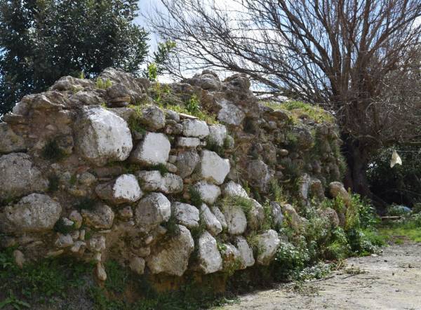Μεσσηνία: Ένας τάφος ανακαλύφθηκε στον οικισμό των Κάτω Αμπελοκήπων (φωτογραφίες)