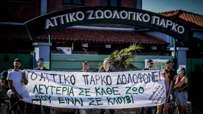 Αττικό Ζωολογικό Πάρκο: Αυτοψία για τη θανάτωση του χιμπατζή - Τι αναφέρουν τα δυο πορίσματα