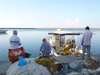 Ξεχωριστές εικόνες κάθε πρωί στο λιμάνι της Καλαμάτας (βίντεο)