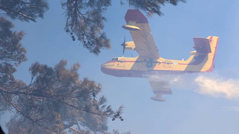 Υπό έλεγχο η φωτιά στην Πλάκα Λιτοχώρου - Φωτιά στην εθνική οδό Θεσσαλονίκης – Σερρών