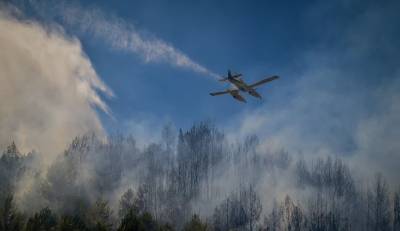 Πυρκαγιές: «Πορτοκαλί» συναγερμός σε 6 περιφέρειες