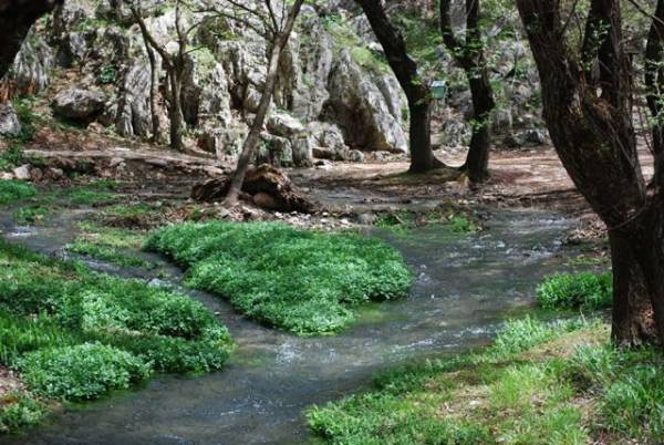 Το Εθνικό Πάρκο Χελμού - Βουραικού και 4 ακόμα ελληνικά πάρκα σε πρόγραμμα της Unesco