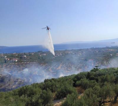 Καλαμάτα: Υπό έλεγχο η φωτιά στην περιοχή Ρίζα - Καίριες ρίψεις από εναέρια μέσα (βίντεο)