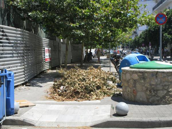 Κλαδιά στο πεζοδρόμιο 