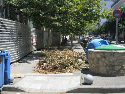 Κλαδιά στο πεζοδρόμιο 