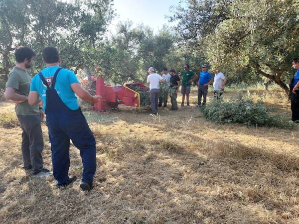 Ο Πρόεδρος της Ο.Π “Νηλέας” Γιώργος Κόκκινος στην «Ε»: Μεγάλες αβεβαιότητες από τη μονοκαλλιέργεια της ελιάς