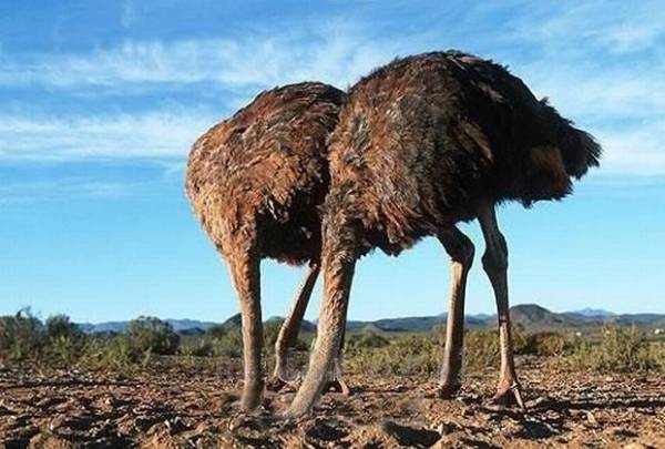Σκίσαμε ένα μνημόνιο   και πήραμε δύο… δώρο!