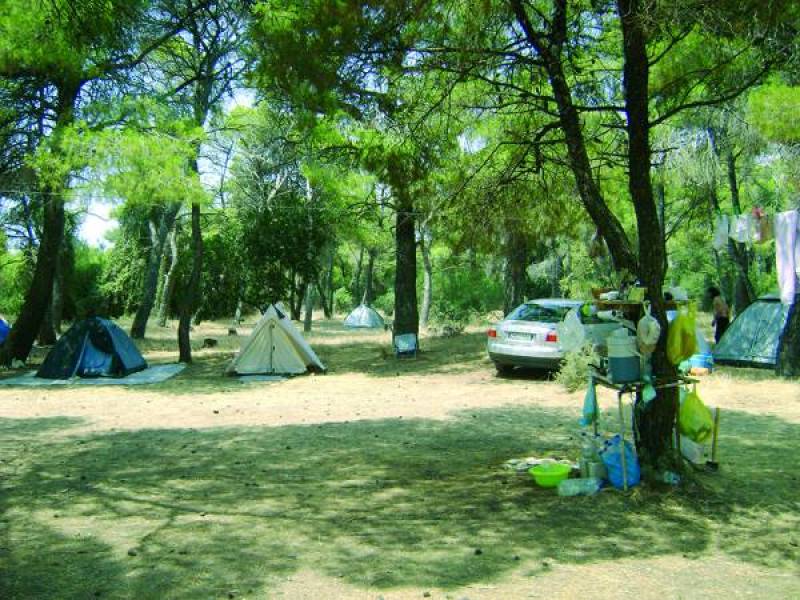 Ρομά έκλεψαν σακίδια από ζευγάρι στην παραλία Ελαίας