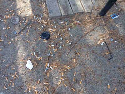 Παραλία ή τασάκι;