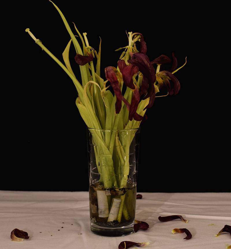 Μαθητές φωτογράφισαν «Τη ζωή χωρίς κάπνισμα» - Διαγωνισμός της Ελληνικής Καρδιολογικής Εταιρείας