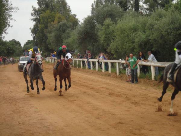 Ιπποδρομίες στο Πλατύ