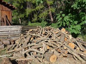 Λαθροϋλοτομία στο Χατζή