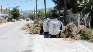 Λόφοι με κλαδιά στα πεζοδρόμια
