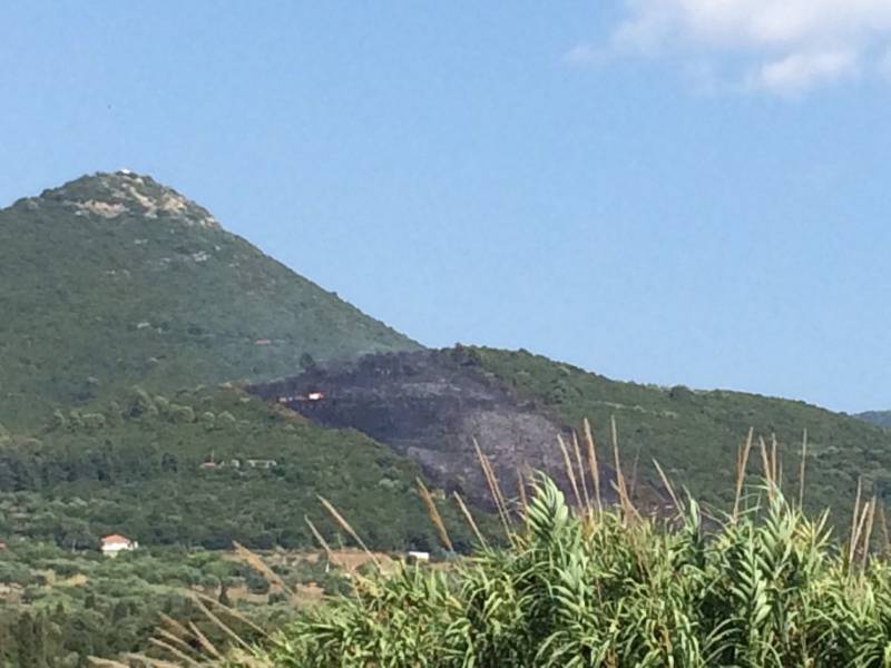 Μεσσηνία: Αύριο απολογείται ο κατηγορούμενος για τον εμπρησμό στο Χανδρινού