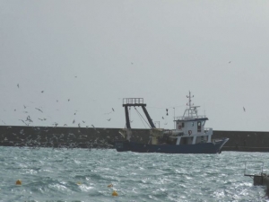 Πανέμορφη εικόνα