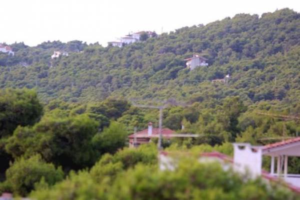 Παράταση για το Δασολόγιο ζητεί η Νομαρχιακή Μεσσηνίας του ΤΕΕ