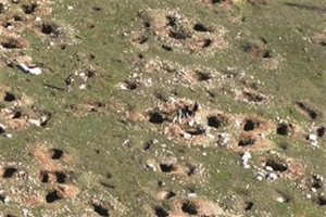 Λαθρανασκαφή στο Δήμο Μεγαλόπολης