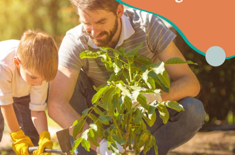 Ένα ίδρυμα στην Κόστα Ρίκα θέλει να φυτέψει έξι εκατομμύρια δέντρα στη μνήμη των νεκρών της πανδημίας