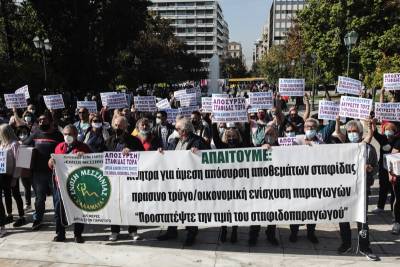Σημαντική συμμετοχή στο συλλαλητήριο των σταφιδοπαραγωγών στο Σύνταγμα (βίντεο-φωτογραφίες)