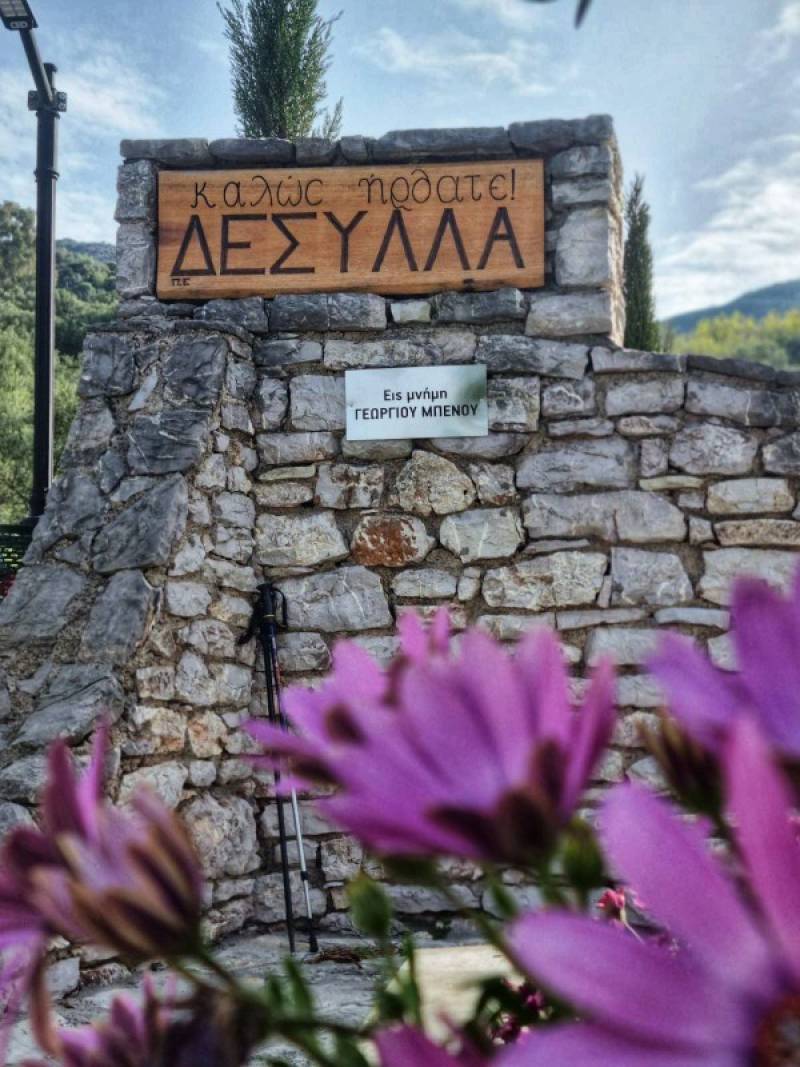 Βραβεία Ευρωπαίων Πολιτών «Κώστας Καρράς»: Αργυρό Βραβείο στην ομάδα “#αγαπάμεΔεσύλλα”