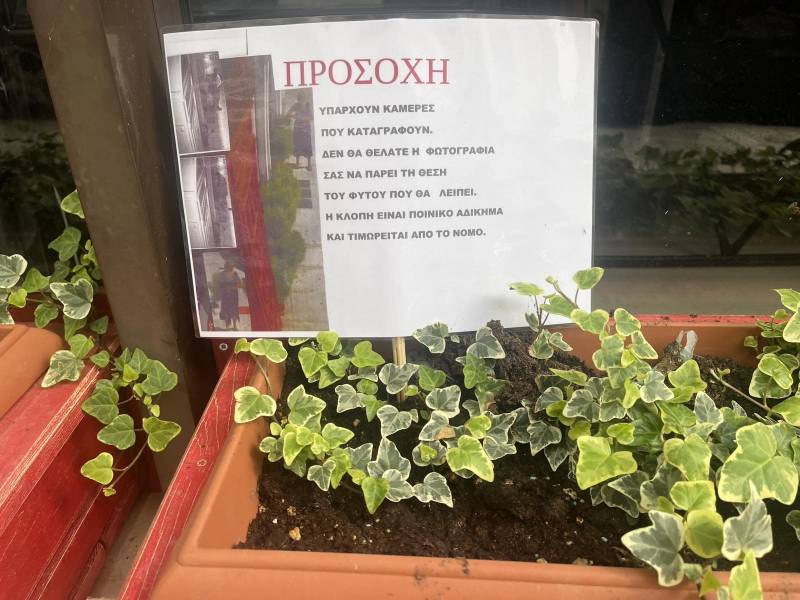 Κλέβουν και τα φυτά!