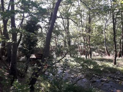 Ο Σύλλογος Αρκάδων Ορειβατών Οικολόγων εξορμά στη Μεσσηνία   